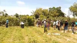 Pembangunan Koperasi Desa Merah Putih di Demo Puluhan Warga Desa Kepanjen Jember