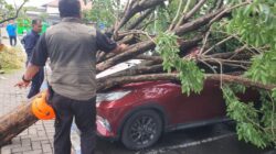 Tim BPBD Jatim Respon Cepat Dampak Angin Puting Beliung di Bandara Juanda Tim BPBD Jatim Respon Cepat Dampak Angin Puting Beliung di Bandara Juanda