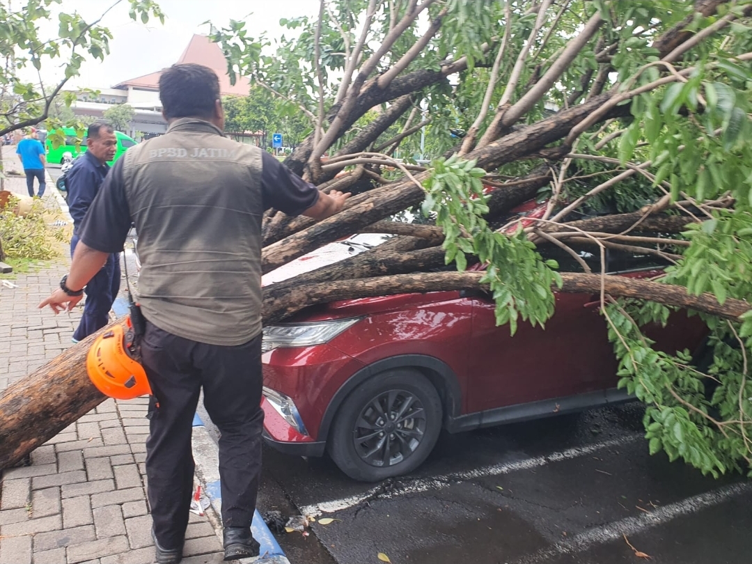 Tim BPBD Jatim Respon Cepat Dampak Angin Puting Beliung di Bandara Juanda