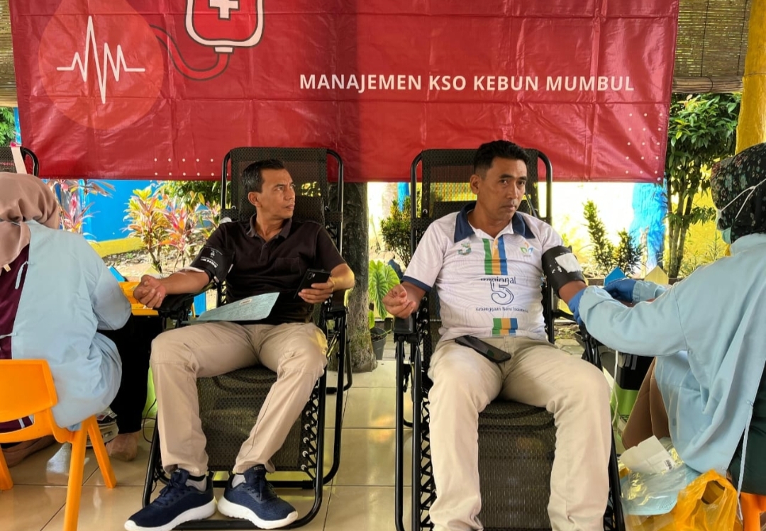 Perkebunan Menjadi Pilar Stok Darah!! Kebun Mumbul Berhasil Himpun Puluhan Kantong