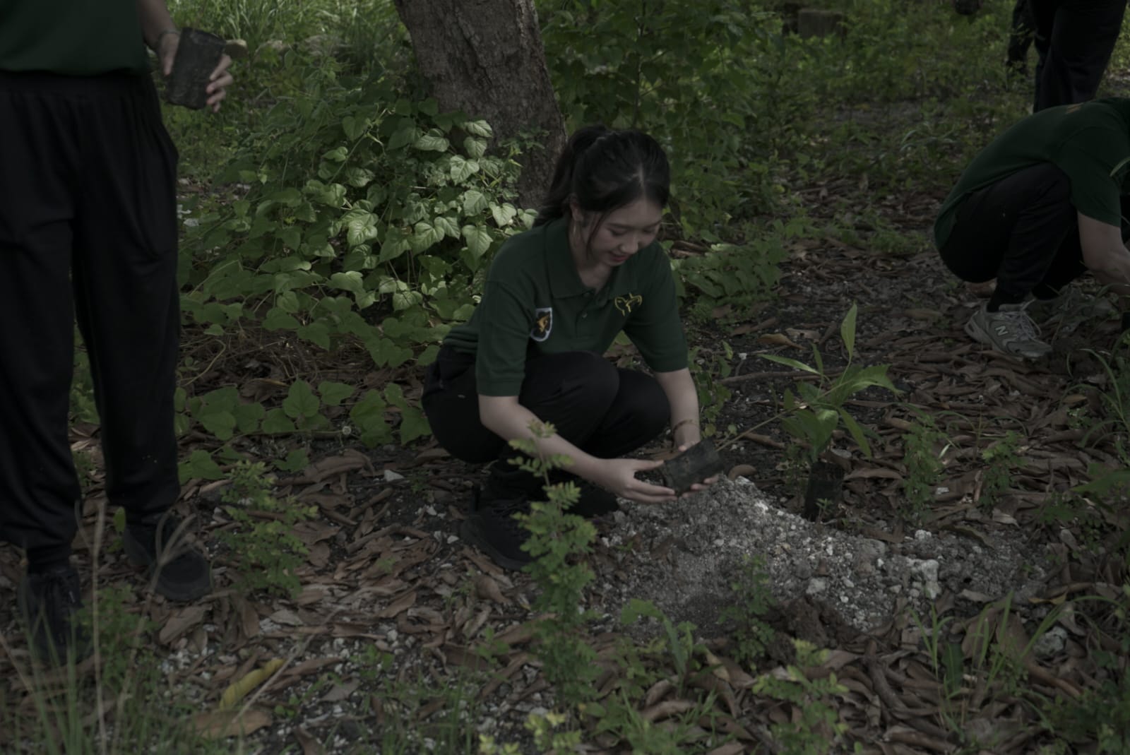 Aksi tanam 300 bibit pohon Cak Ning Surabaya sambut Tahun Baru 2026