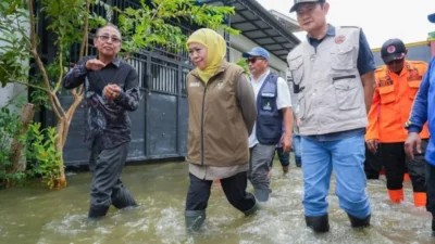 Gubernur Jawa Timur Khofifah Indar Parawansa meninjau banjir di Desa Laladan, Kecamatan Deket, Lamongan, serta menyalurkan bantuan dan memastikan penanganan darurat berjalan optimal.